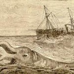 Гигантский кальмар, гости из бездны