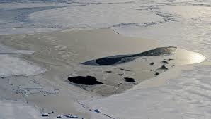 По следам во льдах: Острова надежды нашей