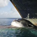 Столкновения с китами