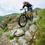 Отличия и критерии выбора горного велосипеда